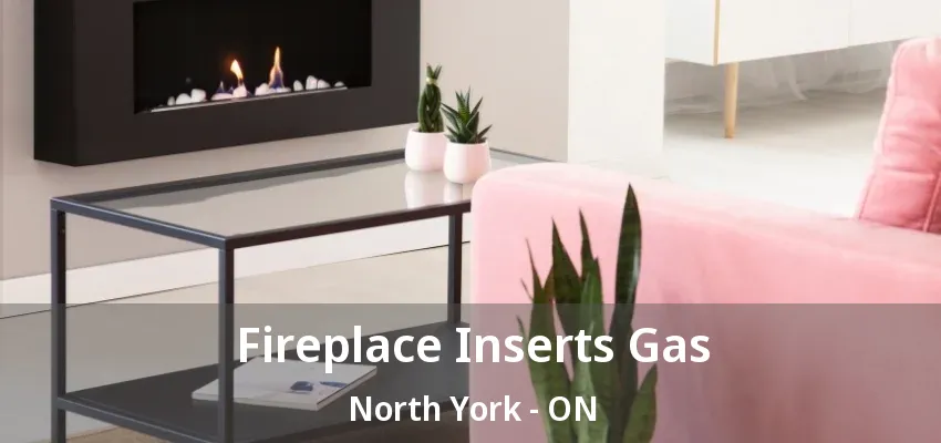 Fireplace Inserts Gas North York - ON Fireplace Inserts Gas North York - ON