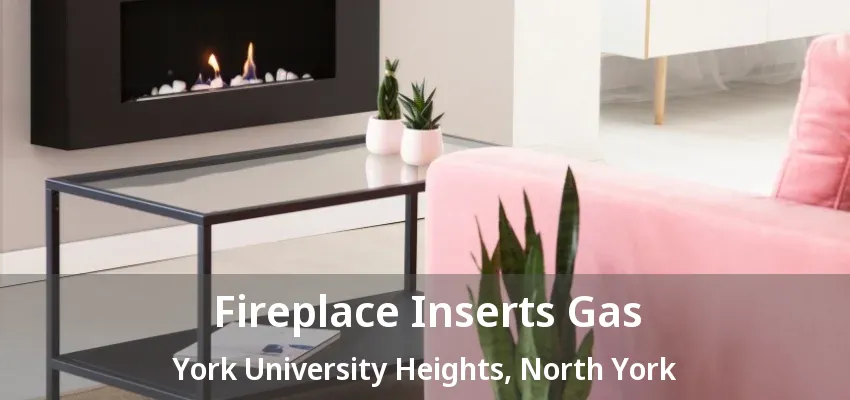 Fireplace Inserts Gas York University Heights, North York - ON Fireplace Inserts Gas York University Heights, North York - ON