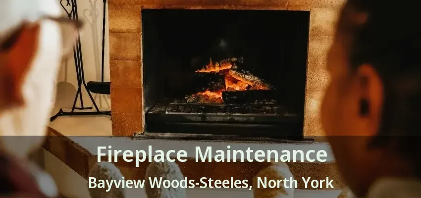 Fireplace Maintenance Bayview Woods-Steeles, North York - ON Fireplace Maintenance Bayview Woods-Steeles, North York - ON
