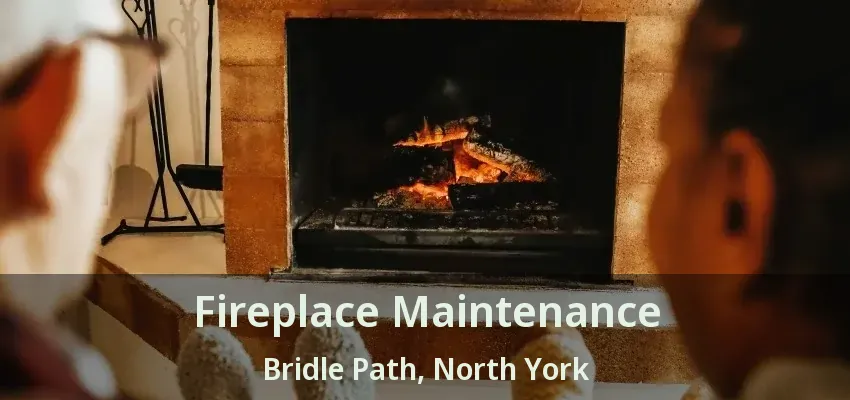 Fireplace Maintenance Bridle Path, North York - ON Fireplace Maintenance Bridle Path, North York - ON