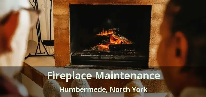 Fireplace Maintenance Humbermede, North York - ON Fireplace Maintenance Humbermede, North York - ON