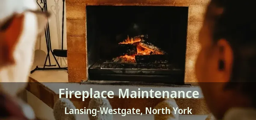 Fireplace Maintenance Lansing-Westgate, North York - ON Fireplace Maintenance Lansing-Westgate, North York - ON