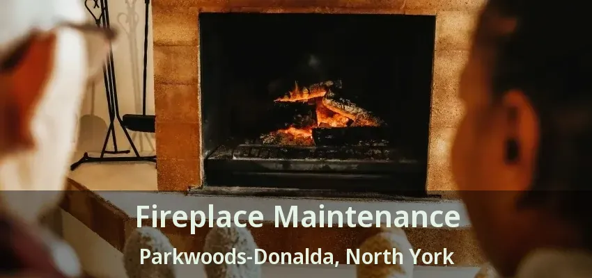 Fireplace Maintenance Parkwoods-Donalda, North York - ON Fireplace Maintenance Parkwoods-Donalda, North York - ON