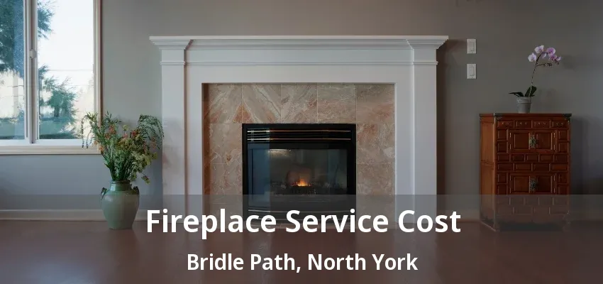 Fireplace Service Cost Bridle Path, North York - ON