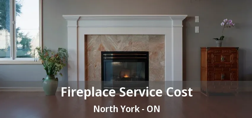 Fireplace Service Cost North York - ON