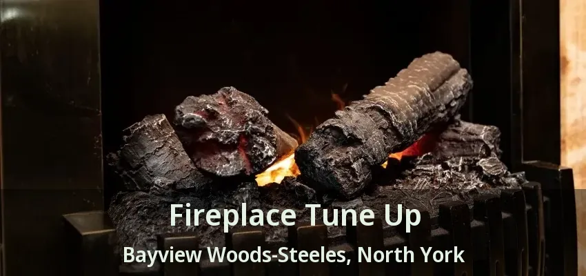 Fireplace Tune Up Bayview Woods-Steeles, North York - ON Fireplace Tune Up Bayview Woods-Steeles, North York - ON