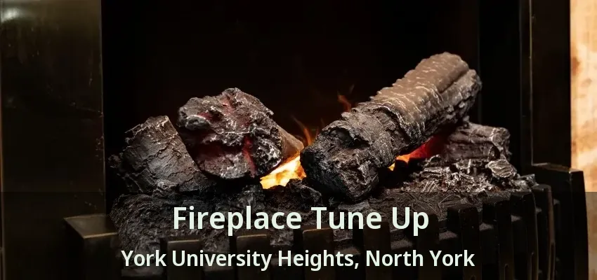 Fireplace Tune Up York University Heights, North York - ON Fireplace Tune Up York University Heights, North York - ON