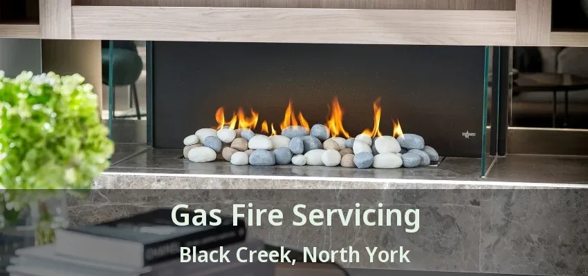 Gas Fire Servicing Black Creek, North York - ON Gas Fire Servicing Black Creek, North York - ON