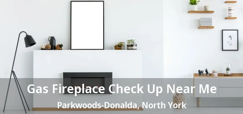 Gas Fireplace Check Up Near Me Parkwoods-Donalda, North York - ON