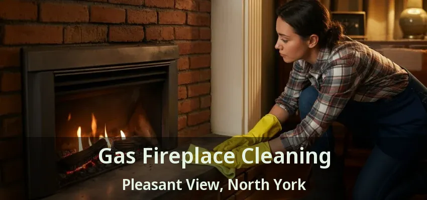 Gas Fireplace Cleaning Pleasant View, North York - ON Gas Fireplace Cleaning Pleasant View, North York - ON