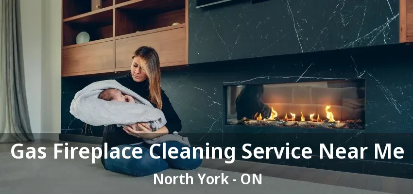 Gas Fireplace Cleaning Service Near Me North York - ON Gas Fireplace Cleaning Service Near Me North York - ON