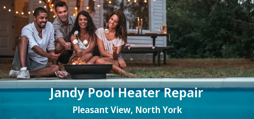 Jandy Pool Heater Repair Pleasant View, North York - ON
