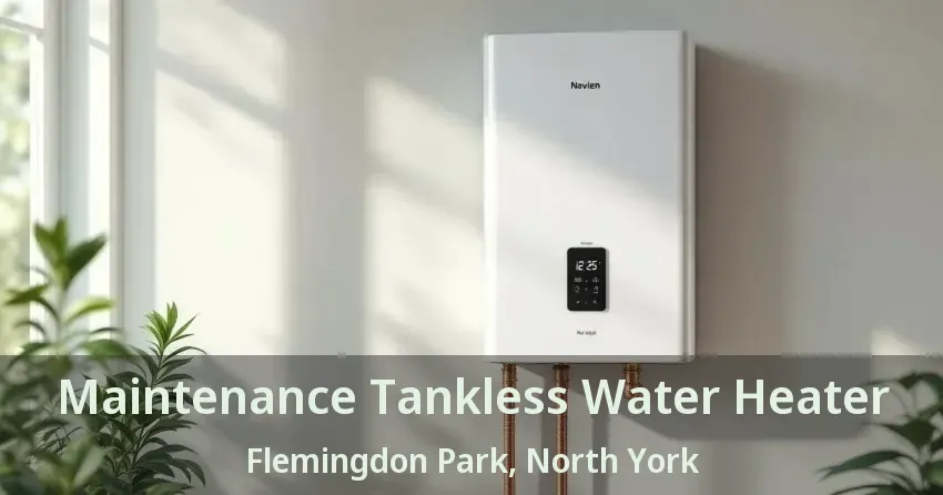 Maintenance Tankless Water Heater Flemingdon Park, North York - ON Maintenance Tankless Water Heater Flemingdon Park, North York - ON