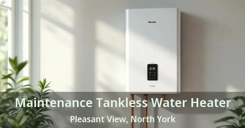 Maintenance Tankless Water Heater Pleasant View, North York - ON Maintenance Tankless Water Heater Pleasant View, North York - ON