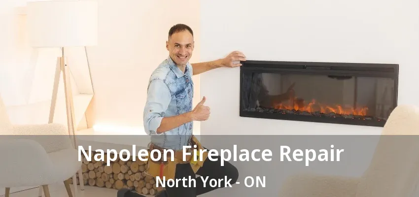 Napoleon Fireplace Repair North York - ON Napoleon Fireplace Repair North York - ON
