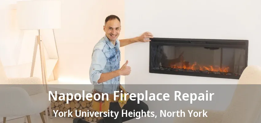 Napoleon Fireplace Repair York University Heights, North York - ON
