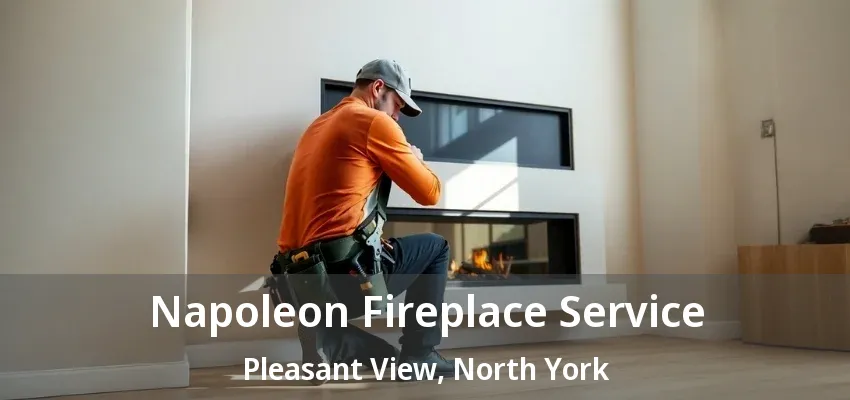 Napoleon Fireplace Service Pleasant View, North York - ON Napoleon Fireplace Service Pleasant View, North York - ON