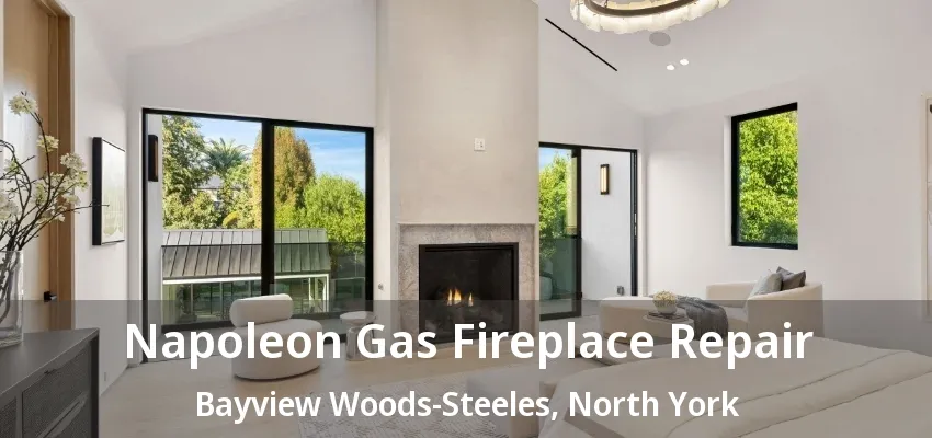 Napoleon Gas Fireplace Repair Bayview Woods-Steeles, North York - ON Napoleon Gas Fireplace Repair Bayview Woods-Steeles, North York - ON