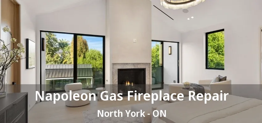 Napoleon Gas Fireplace Repair North York - ON