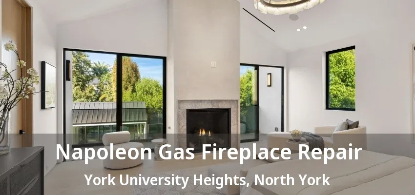Napoleon Gas Fireplace Repair York University Heights, North York - ON