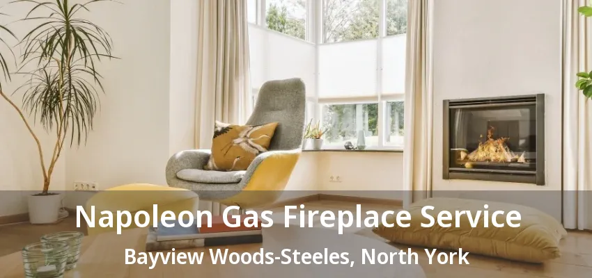 Napoleon Gas Fireplace Service Bayview Woods-Steeles, North York - ON Napoleon Gas Fireplace Service Bayview Woods-Steeles, North York - ON