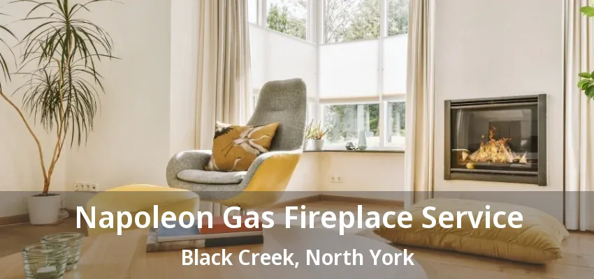 Napoleon Gas Fireplace Service Black Creek, North York - ON Napoleon Gas Fireplace Service Black Creek, North York - ON