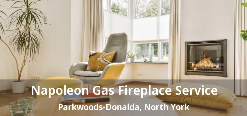 Napoleon Gas Fireplace Service Parkwoods-Donalda, North York - ON Napoleon Gas Fireplace Service Parkwoods-Donalda, North York - ON