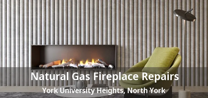 Natural Gas Fireplace Repairs York University Heights, North York - ON Natural Gas Fireplace Repairs York University Heights, North York - ON