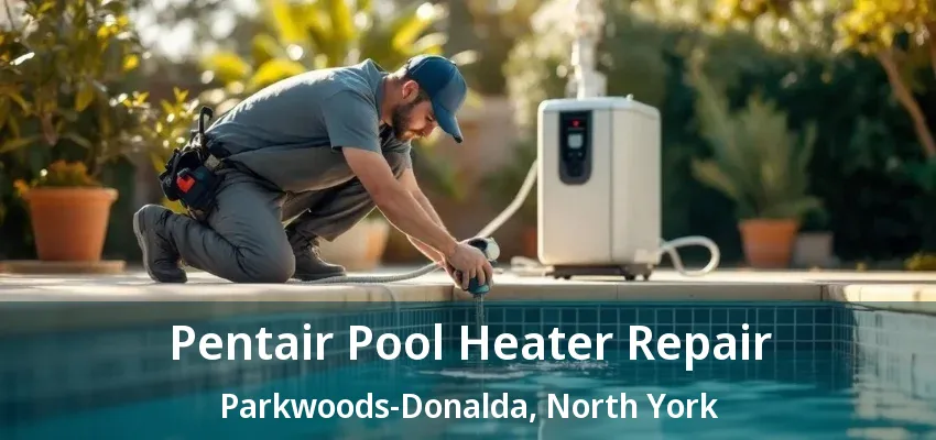 Pentair Pool Heater Repair Parkwoods-Donalda, North York - ON Pentair Pool Heater Repair Parkwoods-Donalda, North York - ON