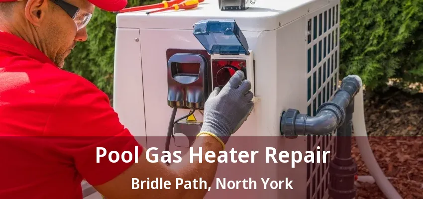 Pool Gas Heater Repair Bridle Path, North York - ON Pool Gas Heater Repair Bridle Path, North York - ON