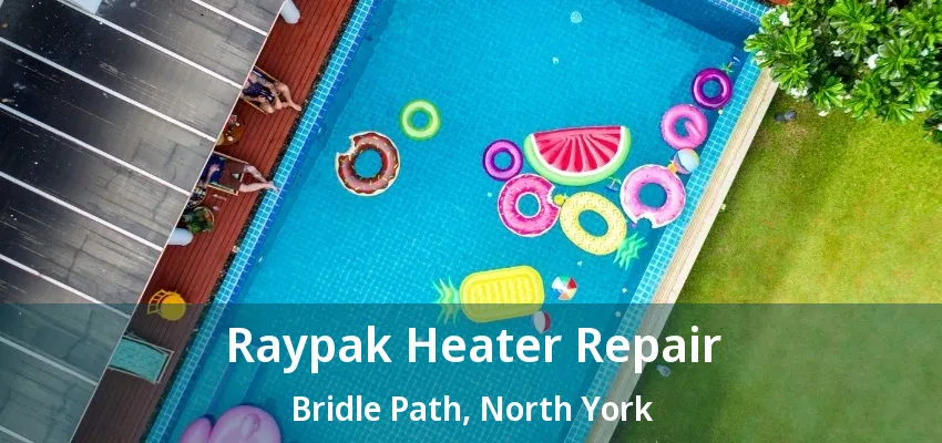 Raypak Heater Repair Bridle Path, North York - ON