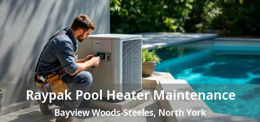 Raypak Pool Heater Maintenance Bayview Woods-Steeles, North York - ON