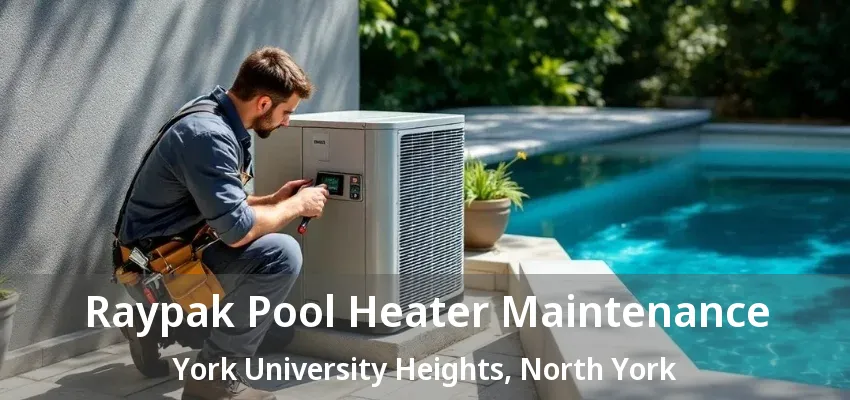Raypak Pool Heater Maintenance York University Heights, North York - ON Raypak Pool Heater Maintenance York University Heights, North York - ON