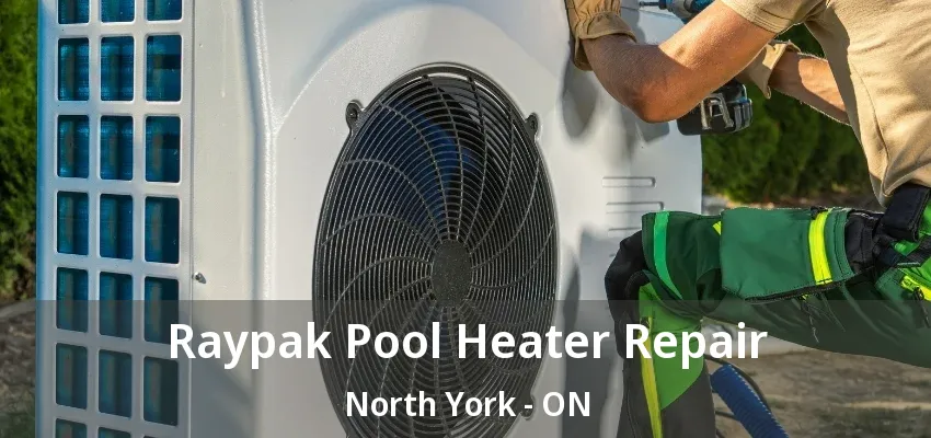Raypak Pool Heater Repair North York - ON