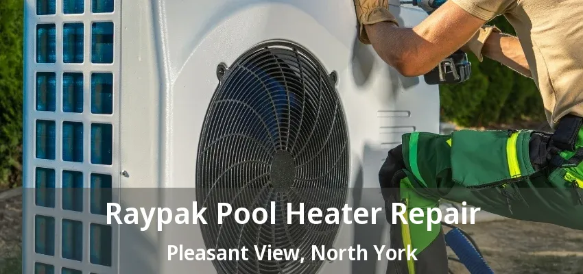 Raypak Pool Heater Repair Pleasant View, North York - ON