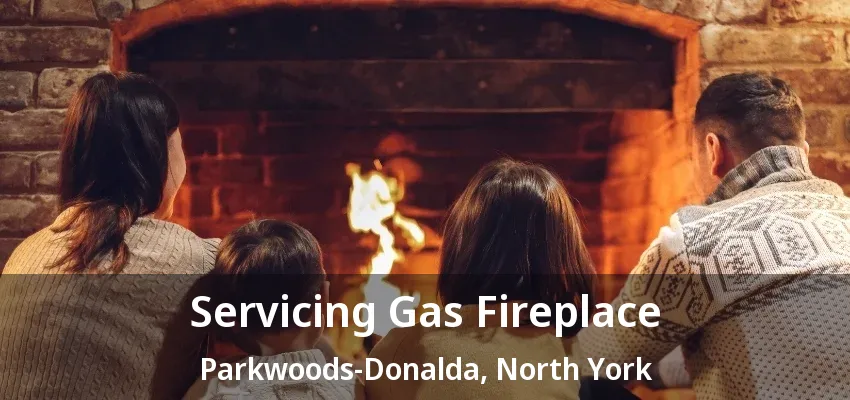 Servicing Gas Fireplace Parkwoods-Donalda, North York - ON