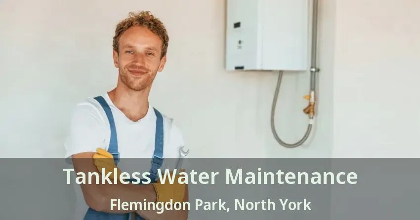 Tankless Water Maintenance Flemingdon Park, North York - ON Tankless Water Maintenance Flemingdon Park, North York - ON