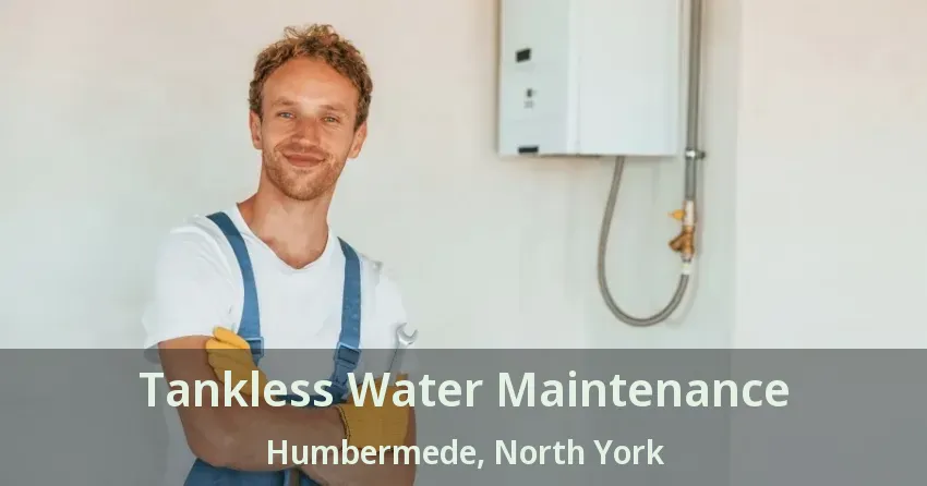 Tankless Water Maintenance Humbermede, North York - ON Tankless Water Maintenance Humbermede, North York - ON