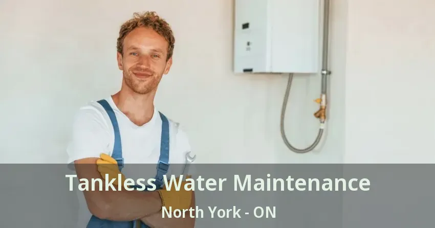 Tankless Water Maintenance North York - ON Tankless Water Maintenance North York - ON