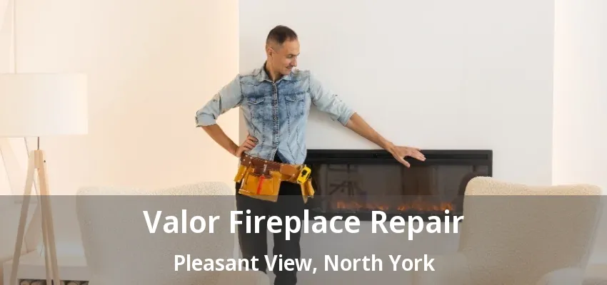 Valor Fireplace Repair Pleasant View, North York - ON Valor Fireplace Repair Pleasant View, North York - ON